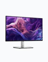 Dell 24 Monitor